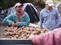 Proyecto Papas Nativas Gavidia